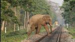Railways are not under the Environment Impact Assessment (EIA) regime, and highways are often presented as broken up or disconnected projects to escape EIAs (Shutterstock) Railways are not under the Environment Impact Assessment (EIA) regime, and highways are often presented as broken up or disconnected projects to escape EIAs (Shutterstock)