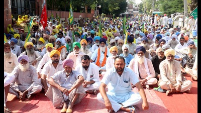 The protesters said they would lift their indefinite dharna at Bathinda only if the state government announced compensation to farmers whose cotton crop was damaged in the pink bollworm attack. (HT Photo)