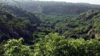 Hasdeo Arand in Chhattisgarh is one of the largest contiguous stretches of dense forest in central India spanning 170,000 hectares. (HT File photo/Manoj Kumar) Hasdeo Arand in Chhattisgarh is one of the largest contiguous stretches of dense forest in central India spanning 170,000 hectares. (HT File photo/Manoj Kumar)