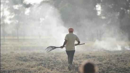 The air quality forecast for Delhi says stubble fires are likely to peak in parts of Punjab and Haryana from October 27. (Sanchit Khanna/HT PHOTO)