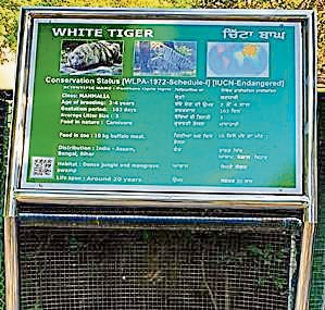 An interpretative and informative signboards put up in front of animal exhibits at Chhatbir Zoo.
