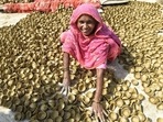 The festival of lights is just around the corner and potters in different parts of India are gearing up to increase the production of earthen lamps. A Muslim family in Chinhat area in Gomti Nagar, Lucknow is working hard to make as many diyas as possible ahead of Diwali and sell in the market.(HT Photo/Deepak Gupta)