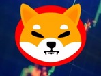 The Shiba Enu coin