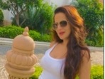 Ameesha Patel’s animal workout flow is our midweek fitness inspo Ameesha Patel’s animal workout flow is our midweek fitness inspo
