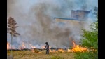 A farmer burns paddy stubbles in a field in a village in Hisar district of Haryana, October 18, 2019 (PTI) A farmer burns paddy stubbles in a field in a village in Hisar district of Haryana, October 18, 2019 (PTI)