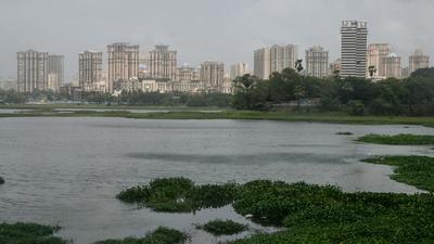 The BMC’s cycle track component of the Powai lake rejuvenation project, however, has drawn the ire of environmentalists who say they are opposed to the area being developed as a public space for tourists, citing possible harm to the crocodile population. (HT PHOTO) The BMC’s cycle track component of the Powai lake rejuvenation project, however, has drawn the ire of environmentalists who say they are opposed to the area being developed as a public space for tourists, citing possible harm to the crocodile population. (HT PHOTO)