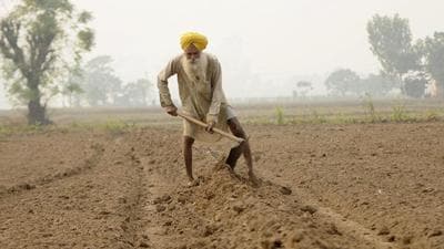 In Punjab, wheat sowing has been delayed with paddy not harvested due to concerns over moisture content. The intermittent rain has not helped matters at all. (HT Photo) In Punjab, wheat sowing has been delayed with paddy not harvested due to concerns over moisture content. The intermittent rain has not helped matters at all. (HT Photo)