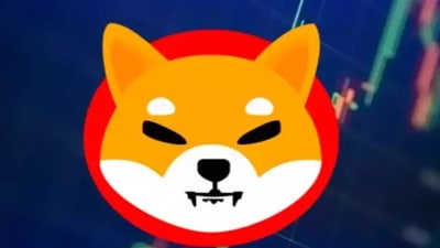 The Shiba Enu coin