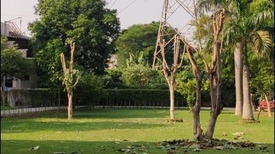 The residents of HJ block (housing colony) in Bhai Randhir Singh (BRS) Nagar, Ludhiana, stated that the trunks of at least three trees were illegally axed. (HT Photo)