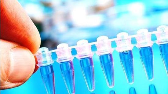 PMC to provide primary cancer treatment at lower than government charges at Mohammadwadi civic hospital in Pune (Shutterstock (PIC FOR REPRESENTATION))