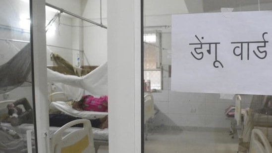 Until now, the cumulative cases of dengue stand at 859 in the district.(Sakib Ali/HT file photo.) Until now, the cumulative cases of dengue stand at 859 in the district.(Sakib Ali/HT file photo.)