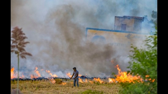 A farmer burns paddy stubbles in a field in a village in Hisar district of Haryana, October 18, 2019 (PTI)