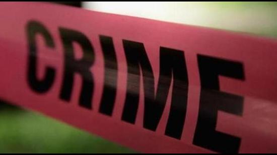 Talwalkars and its eight directors and some senior officers are facing two FIRs for allegedly defrauding Axis Bank and Laxmi Vilas Bank of <span class='webrupee'>₹</span>206 crore and <span class='webrupee'>₹</span>180 crore, respectively. The economic offences wing (EOW) of the Mumbai Police has issued lookout circulars (LoCs) against eight directors and other top office bearers of Talwalkars (AFP)