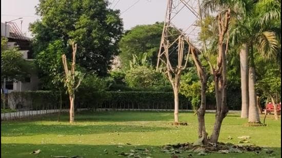 The residents of HJ block (housing colony) in Bhai Randhir Singh (BRS) Nagar, Ludhiana, stated that the trunks of at least three trees were illegally axed. (HT Photo)