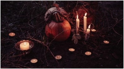 In case you are thinking of organizing the Halloween party outdoors, we suggest some carved pumpkins, a few candles to give the necessary light yet keep the area dim, and barbed wires to give the restricting and horror vibe. (https://unsplash.com/) In case you are thinking of organizing the Halloween party outdoors, we suggest some carved pumpkins, a few candles to give the necessary light yet keep the area dim, and barbed wires to give the restricting and horror vibe. (https://unsplash.com/)
