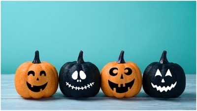 In case you are tired of the traditional orange pumpkins with carvings, this is the year to change it and go crazy on the colours. We suggest black and white so that the black merges with the dark and the white gives you all the chills you want for the celebrations. (https://unsplash.com/) In case you are tired of the traditional orange pumpkins with carvings, this is the year to change it and go crazy on the colours. We suggest black and white so that the black merges with the dark and the white gives you all the chills you want for the celebrations. (https://unsplash.com/)