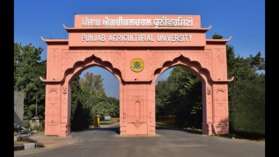 Navinder Kumar Chanji, new director-general of the National Productivity Council, is an alumnus of PAU’s College of Agricultural Engineering and Technology. (HT file)