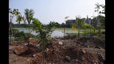 Plants around Lotus Lake. Nerul residents conducted a plantation drive to protect the lake from encroachments. (BACHCHAN KUMAR/HT PHOTO)