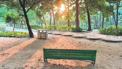 This evening, the green seat is dappled in an impossible-to-capture-on-camera misty halo of amber This evening, the green seat is dappled in an impossible-to-capture-on-camera misty halo of amber