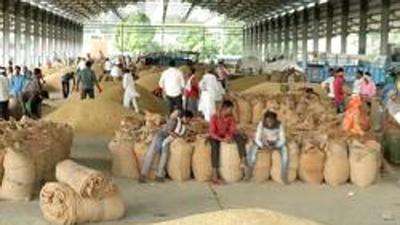 The officers, who met under the banner of Kirti Kisan Forum, expressed solidarity with the farmers agitating for the repeal of the farm laws; they added speedy paddy procurement helped everyone. (HT Photo FOR REPRESENTATIVE PURPOSES ONLY)