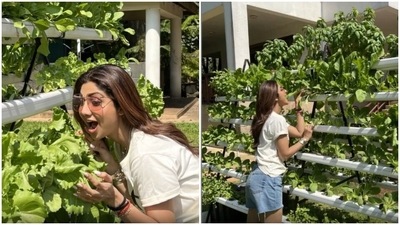 ‘Straight from the farm,’ Shilpa Shetty speaks of organic farming (Instagram/@theshilpashetty) ‘Straight from the farm,’ Shilpa Shetty speaks of organic farming (Instagram/@theshilpashetty)