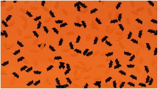 It's the time of year to decorate your walls with spooky but colorful prints.  Bats are a very important part of Halloween celebrations.  We suggest you paint your walls in shades of black and orange in bat shapes to bring the horror home.  (https://unsplash.com/)