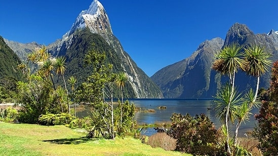 Milford Sound, one of New Zealand's most popular tourist destinations.(Wikipedia)