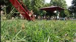 The move to hike park-maintenance charges in Chandigarh comes amid a worry that the residents welfare associations may withdraw from the job. (HT File) The move to hike park-maintenance charges in Chandigarh comes amid a worry that the residents welfare associations may withdraw from the job. (HT File)