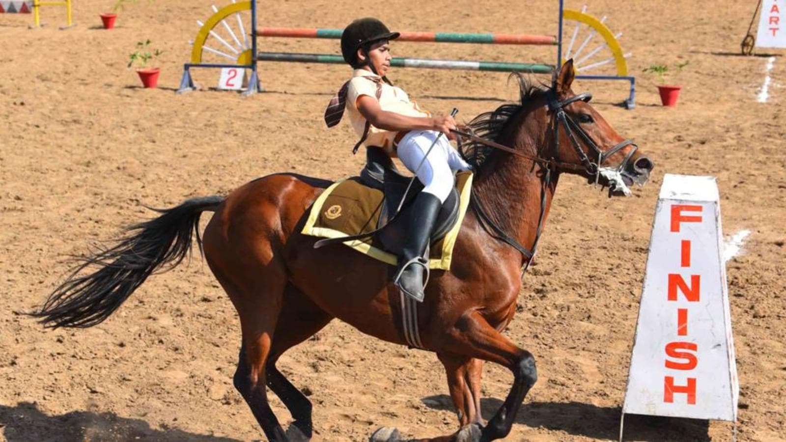 Chandigarh horse show gets underway Hindustan Times