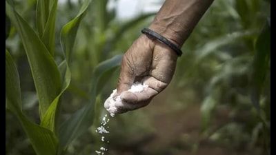 RLD spokesman Anil Dubey said there was an acute shortage of fertilisers in UP due to black marketing (Pic for representation)