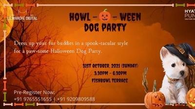 Hyatt Pune, Kalyani nagar invites you for an evening of trick-&-treat with your costume-clad canine this Halloween. (HT PHOTO) Hyatt Pune, Kalyani nagar invites you for an evening of trick-&-treat with your costume-clad canine this Halloween. (HT PHOTO)
