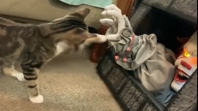 Cat gets scared by IT clown Halloween decor before flying across room. (reddit/@JollyPeaches)
