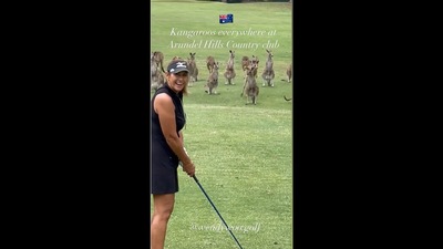 Kangaroos at the golf course in Australia, looking at an amused golfer - Wendy. (instagram/@wendywoo.golf)