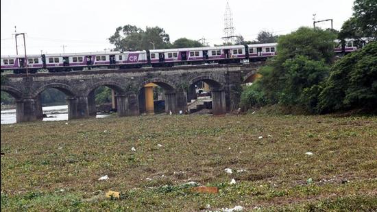 A chain letter addressed to the chairman of CPCB highlights the use of a toxic substance, a weedicide called glyphosate to weed out water hyacinth. (HT PHOTO)