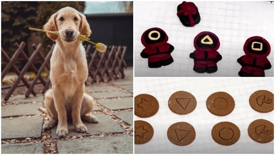 A South Korean pet cooking studio owner has started a baking class through which fans of Netflix's Squid Game TV show can share the Halloween fun with their dogs by making them cookies.(REUTERS/Heo Ran/File Photo)