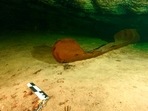 Ancient Maya canoe believed to be over a thousand years old found in Mexico's Yucatan