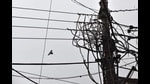 Passing severe strictures against discoms for still not complying with its order asking it to pay consumers the interest on their security deposit, UPERC gave them three-month time as last chance
