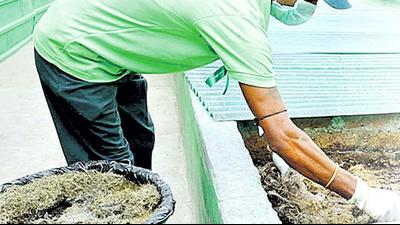 The Ambala MC has told schools to develop green waste compost plants. (HT File Photo/ Representational image) The Ambala MC has told schools to develop green waste compost plants. (HT File Photo/ Representational image)