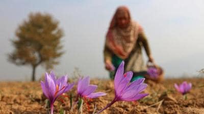 Abhimanyu Singh Arha, an environmental historian and a faculty at Rajasthan University, Jaipur, spoke about the role of women in Gandhian movement (Representative photo)