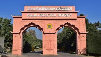 The information about the courses can be obtained from PAU website: www.pau.edu (Representative photo)