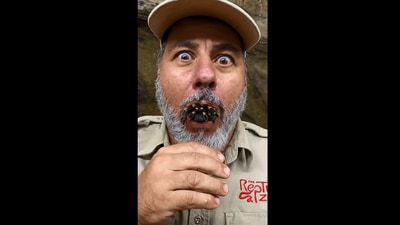 The image shows the spider inside the zookeeper's mouth. (Instagram/@jayprehistoricpets)
