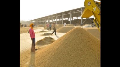 The Haryana Police have registered an FIR against 12 people, including eight employees of the Haryana State Agriculture Marketing Board, for the alleged irregularities in paddy procurement. (HT File)