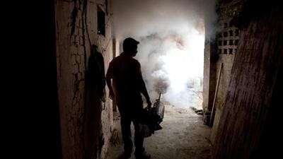The notification gives more powers to the local bodies to implement all mosquito breeding control measures. (AP) The notification gives more powers to the local bodies to implement all mosquito breeding control measures. (AP)