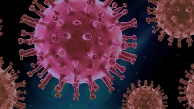 New potential treatment for Covid-19 identified by researchers (Pixabay (For representation purpose)) New potential treatment for Covid-19 identified by researchers (Pixabay (For representation purpose))
