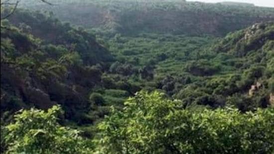 Villagers of Fatehpur, Hariharpur and Salhi have alleged that gram sabha consent was forged for stage 1 approval for coal mining at Hasdeo Arand forest (HT File Photo)