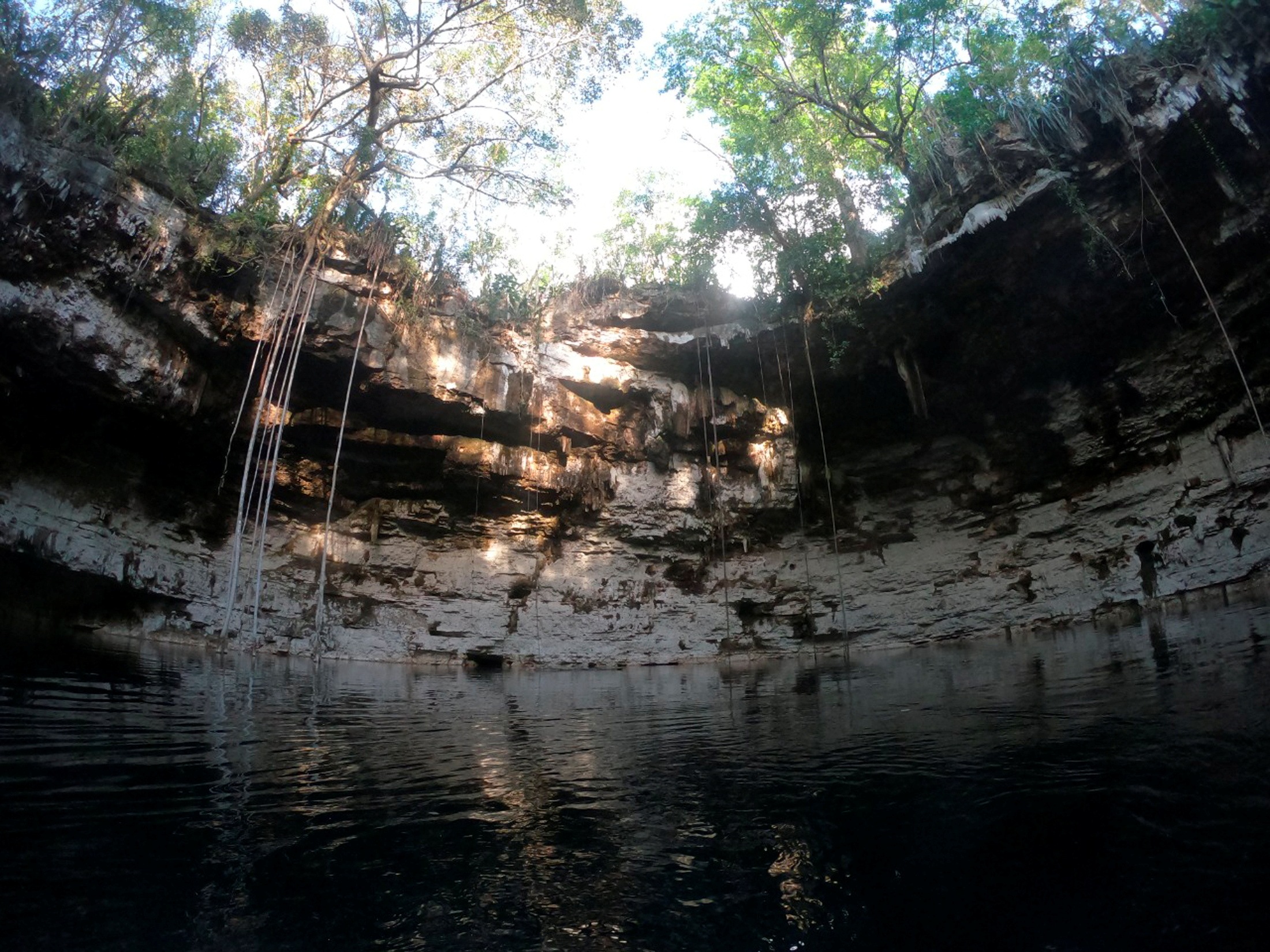 A view of a freshwater pool known as a cenote, where a wooden canoe used by the ancient Maya was found&nbsp; (Via Reuters)