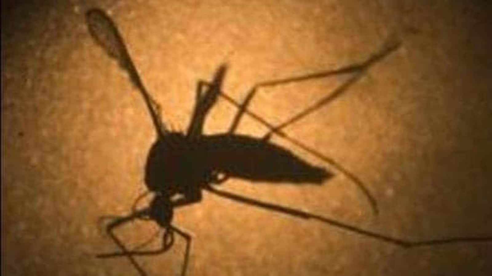 6 more Zika virus cases in Kanpur, CM asks for strict surveillance