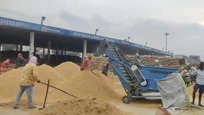 The Punjab food and civil supplies department has alerted Kapurthala authorities about such suspicious arrival of paddy in seven of the district’s grain markets. (HT Photo) The Punjab food and civil supplies department has alerted Kapurthala authorities about such suspicious arrival of paddy in seven of the district’s grain markets. (HT Photo)
