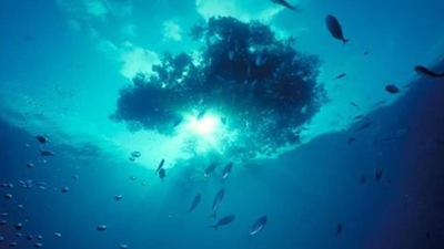 The Matsya 6000, the deep-sea vehicle under the Samudrayan initiative, is designed to carry three people. (Reuters/ Representational Image) The Matsya 6000, the deep-sea vehicle under the Samudrayan initiative, is designed to carry three people. (Reuters/ Representational Image)