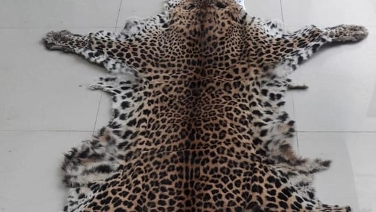 A case was registered against the accused under provisions of the Wildlife Protection Act. (Representation purpose)(HT PHOTO.)